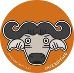 Buffalo 2 Wistickers - Buffalo