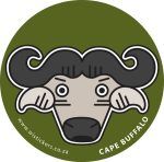 Buffalo 1 Wistickers - Buffalo