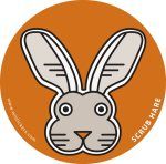 Scrub Hare Wistickers - Scrub Hare
