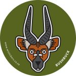 Bushbuck Wistickers - Bushbuck