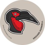 Ground Hornbill Wistickers - Ground Hornbill