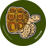 Tortoise Wistickers - Tortoise